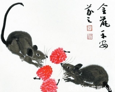 生肖鼠运势1996年的鼠(1996年属鼠的运气)